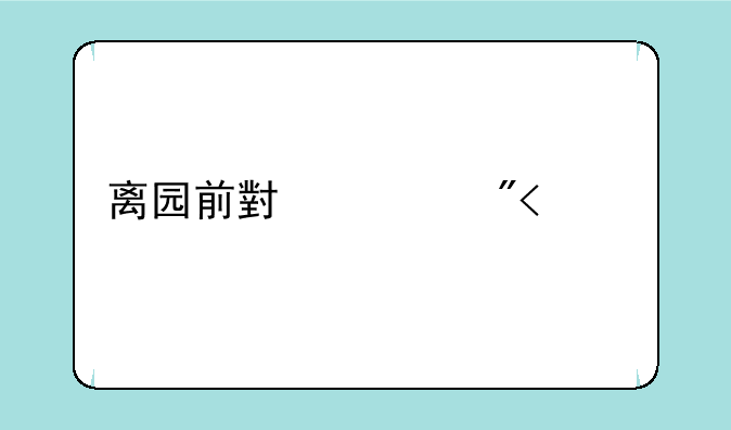 离园前小游戏10个