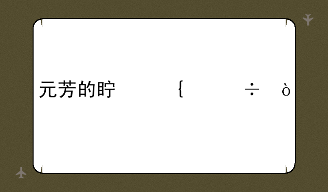 元芳的真实身份？