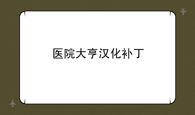 医院大亨汉化补丁