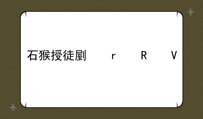 石猴授徒副本攻略