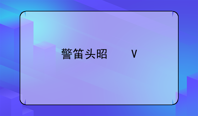 警笛头是啥
