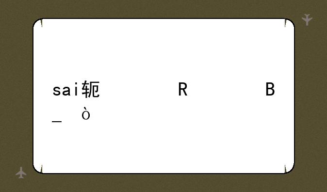sai软件收费吗？