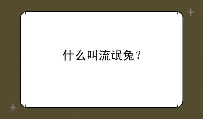 什么叫流氓兔？