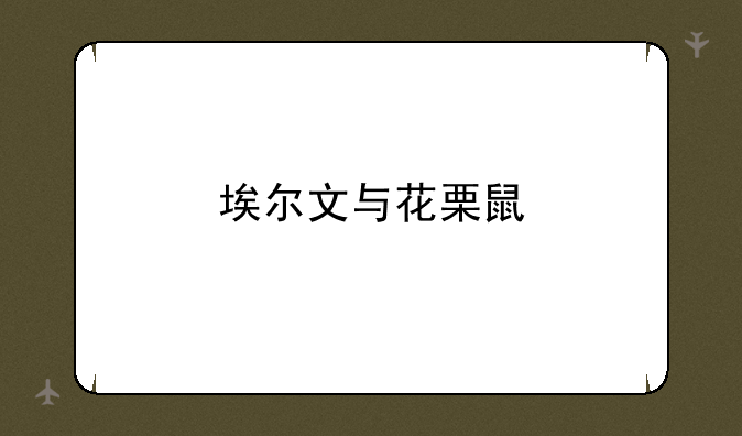 埃尔文与花栗鼠