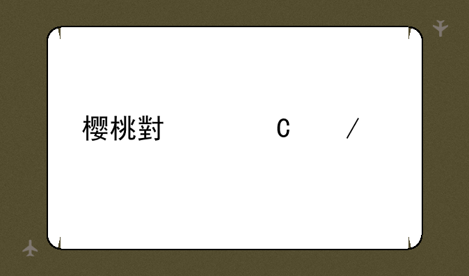 樱桃小丸子下载