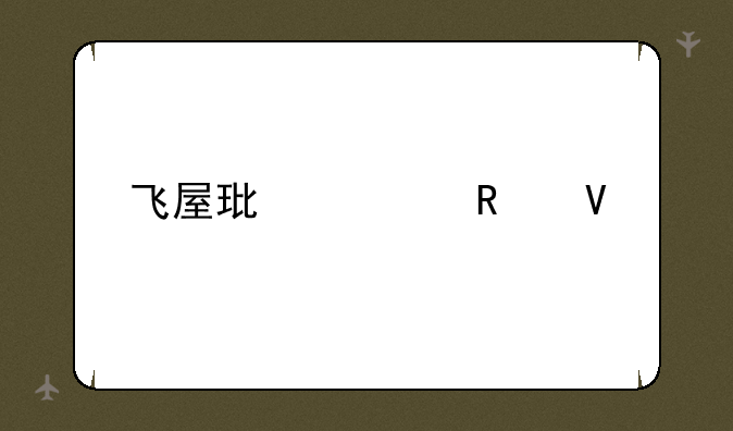 飞屋环游记攻略