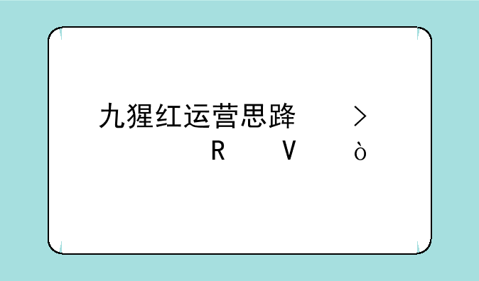 九猩红运营思路及出装攻略？