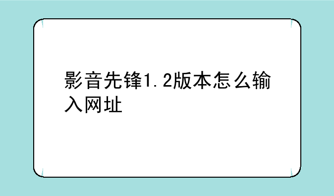 影音先锋1.2版本怎么输入网址