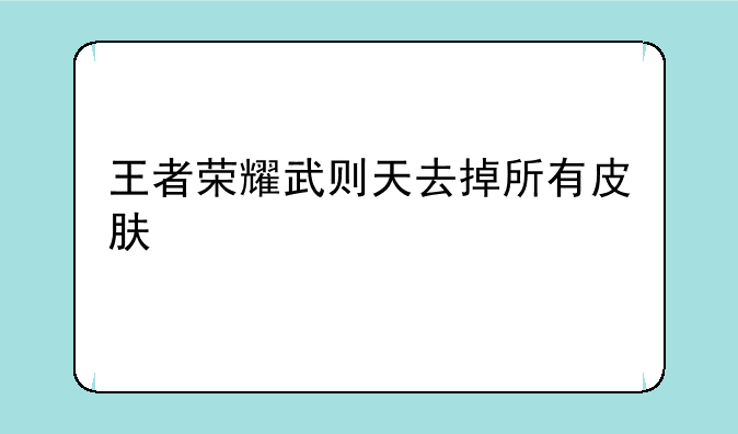 王者荣耀武则天去掉所有