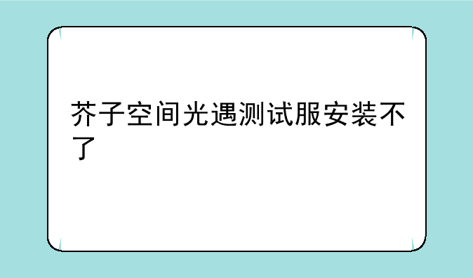 芥子空间光遇测试服安装不了