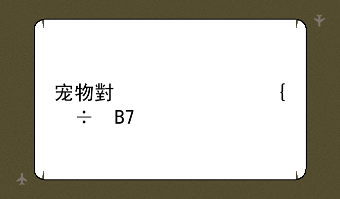 宠物小精灵神兽名字