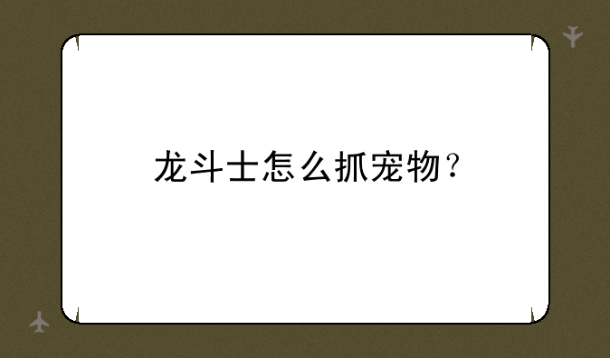 龙斗士怎么抓宠物？