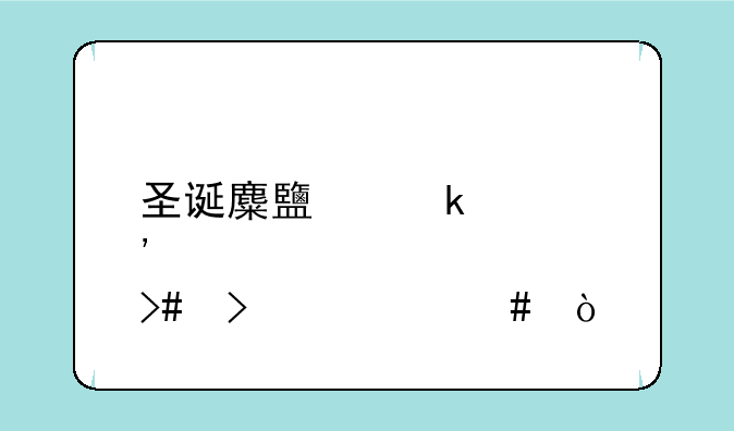 圣诞麋鹿多肉又叫什么？