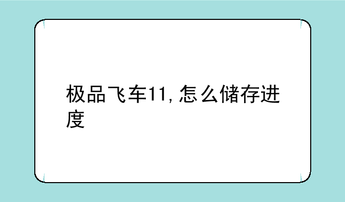 极品飞车11,怎么储存进度