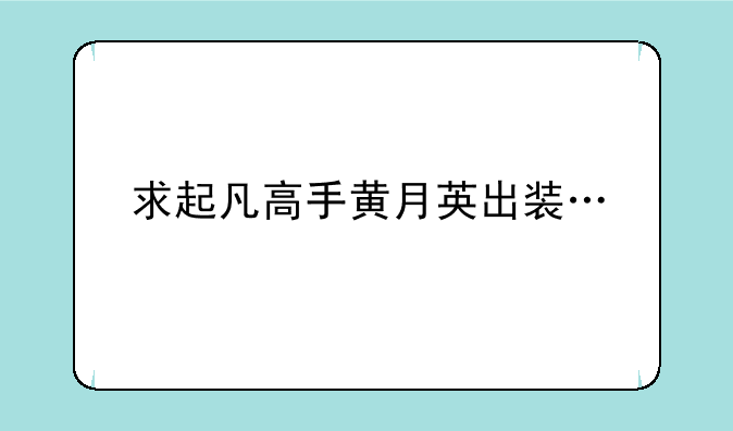求起凡高手黄月英出装…