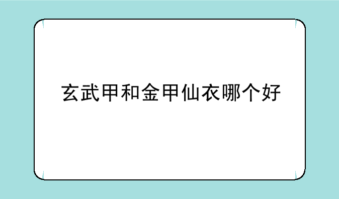 玄武甲和金甲仙衣哪个好