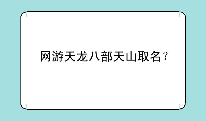 网游天龙八部天山取名？