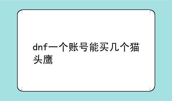 dnf一个账号能买几个猫头鹰