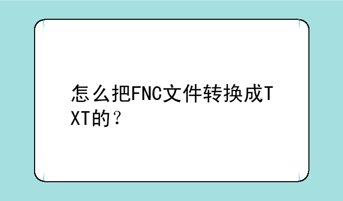 怎么把FNC文件转换成TXT的