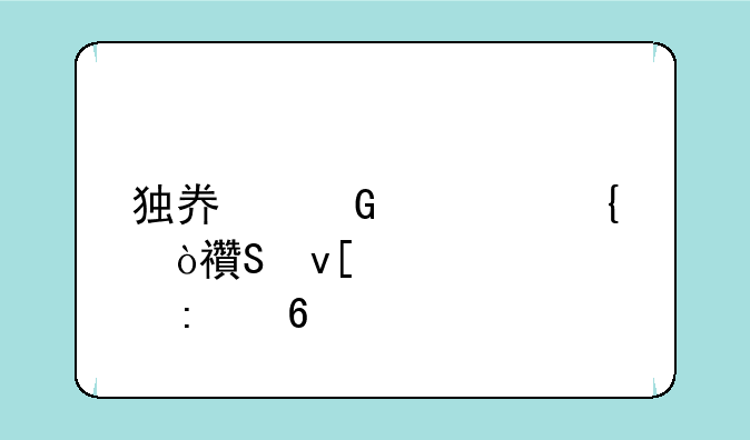 独奏骑士飞弹魔杖装备推荐