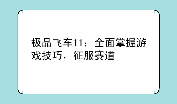 极品飞车11：全面掌握游戏技巧，征服赛道