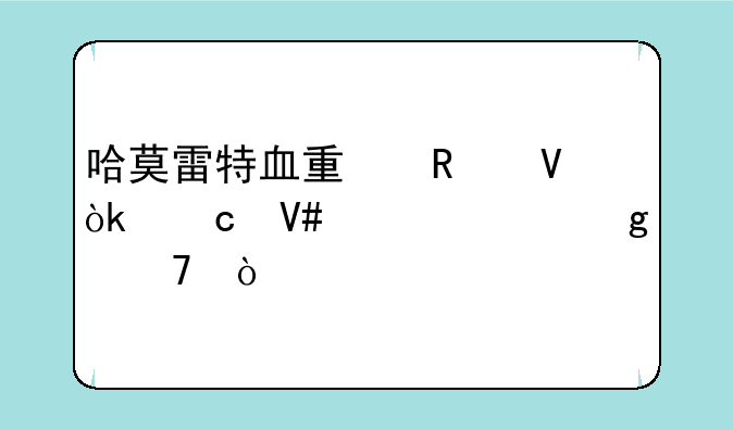 哈莫雷特血量攻略：高效击败这位强大对手