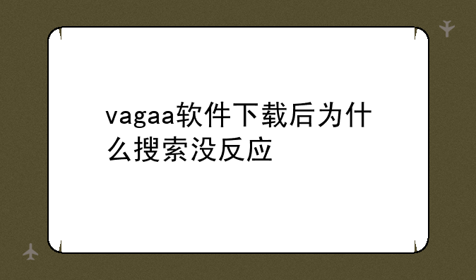 vagaa软件下载后为什么搜索没反应
