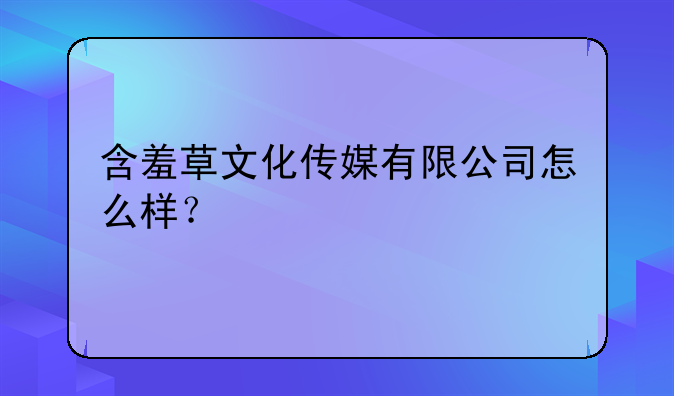含羞草文化传媒有限公司怎么样？