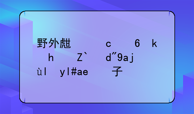 野外生存小游戏适合八岁小孩子玩