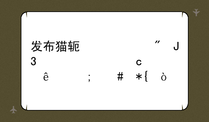 发布猫软件账户和密码忘记了怎么办？