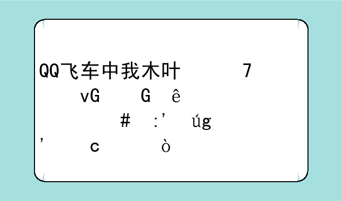 QQ飞车中我木叶忍者村跑了