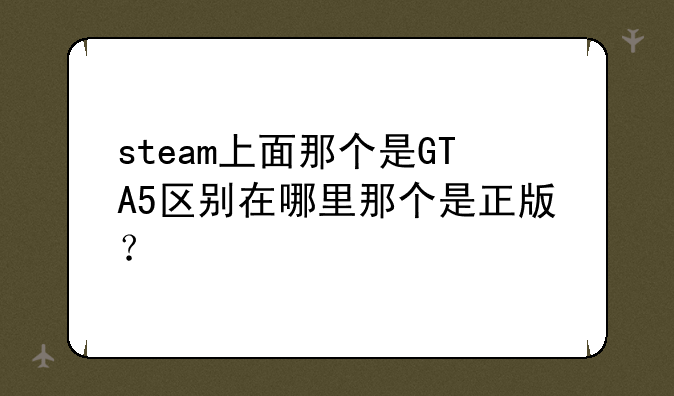 steam上面那个是GTA5区别在哪里那个是正版？