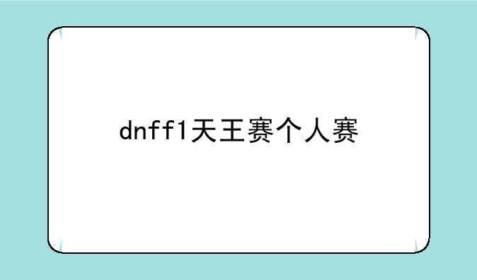 dnff1天王赛个人赛