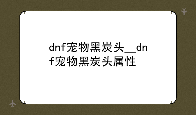 dnf宠物黑炭头__dnf宠物黑炭头属性