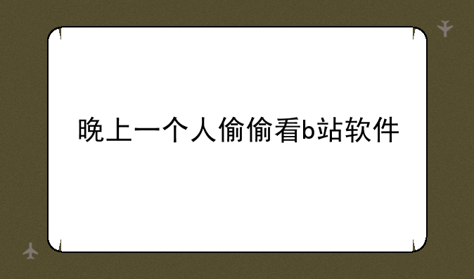 晚上一个人偷偷看b站软件