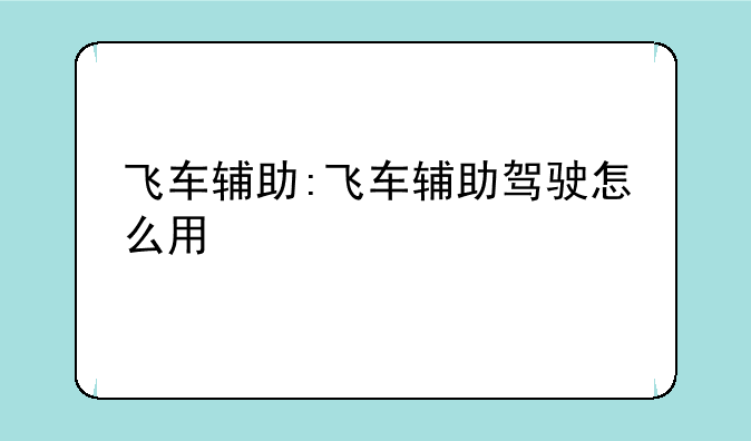 飞车辅助:飞车辅助驾驶怎么用