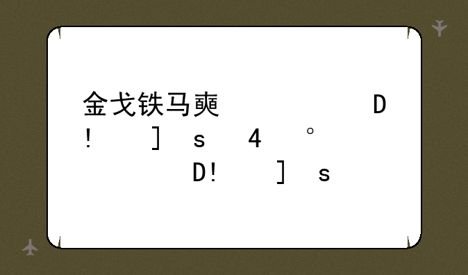 金戈铁马好玩吗-金戈铁马